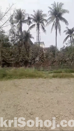 ঢাকা-আরিচা মহাসড়কের সন্নিকটে নির্ভেজাল জমি বিক্রয়